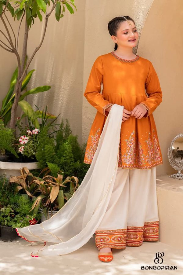 এমব্রয়ডারি ডায়মন্ড জর্জেট - Image 3