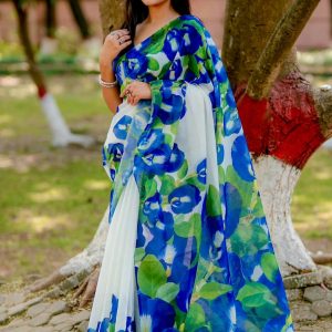 চান্দুরি সিল্ক শাড়ি