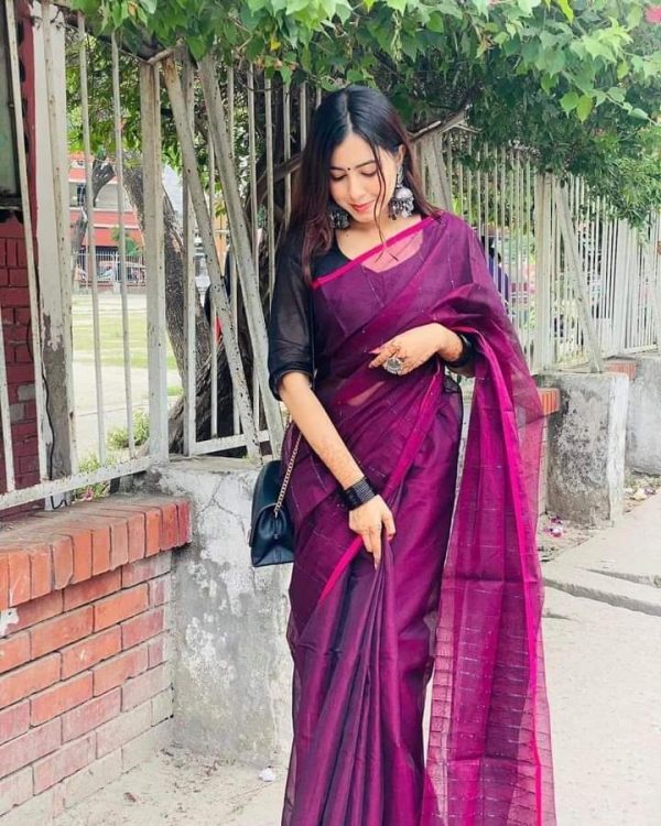 স্টাইলিশ চুমকি শাড়ি
