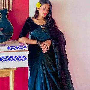 স্টাইলিশ চুমকি শাড়ি