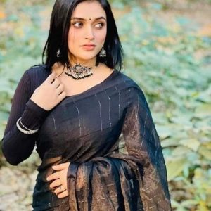স্টাইলিশ চুমকি শাড়ি