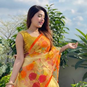 হাফ সিল্ক হ্যান্ড প্রিন্ট শাড়ি